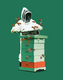 This is a graphic of a beekeeper attending to a hive set against a green backdrop.