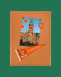 This is a graphic of a bulletin board pinned with Harvard merchandise set against a green backdrop.