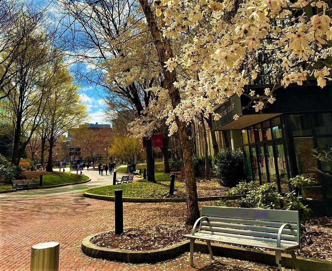 Northeastern's campus is featured in the spring time.